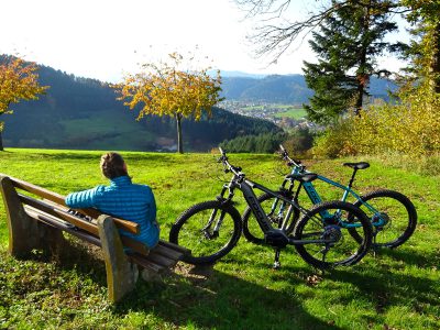 elektrobike