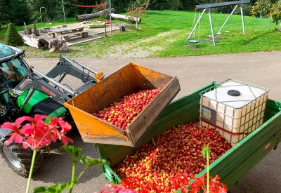 traktor-spielplatz
