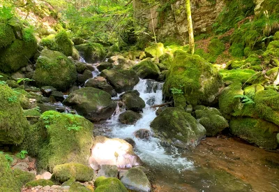 wandern-bach
